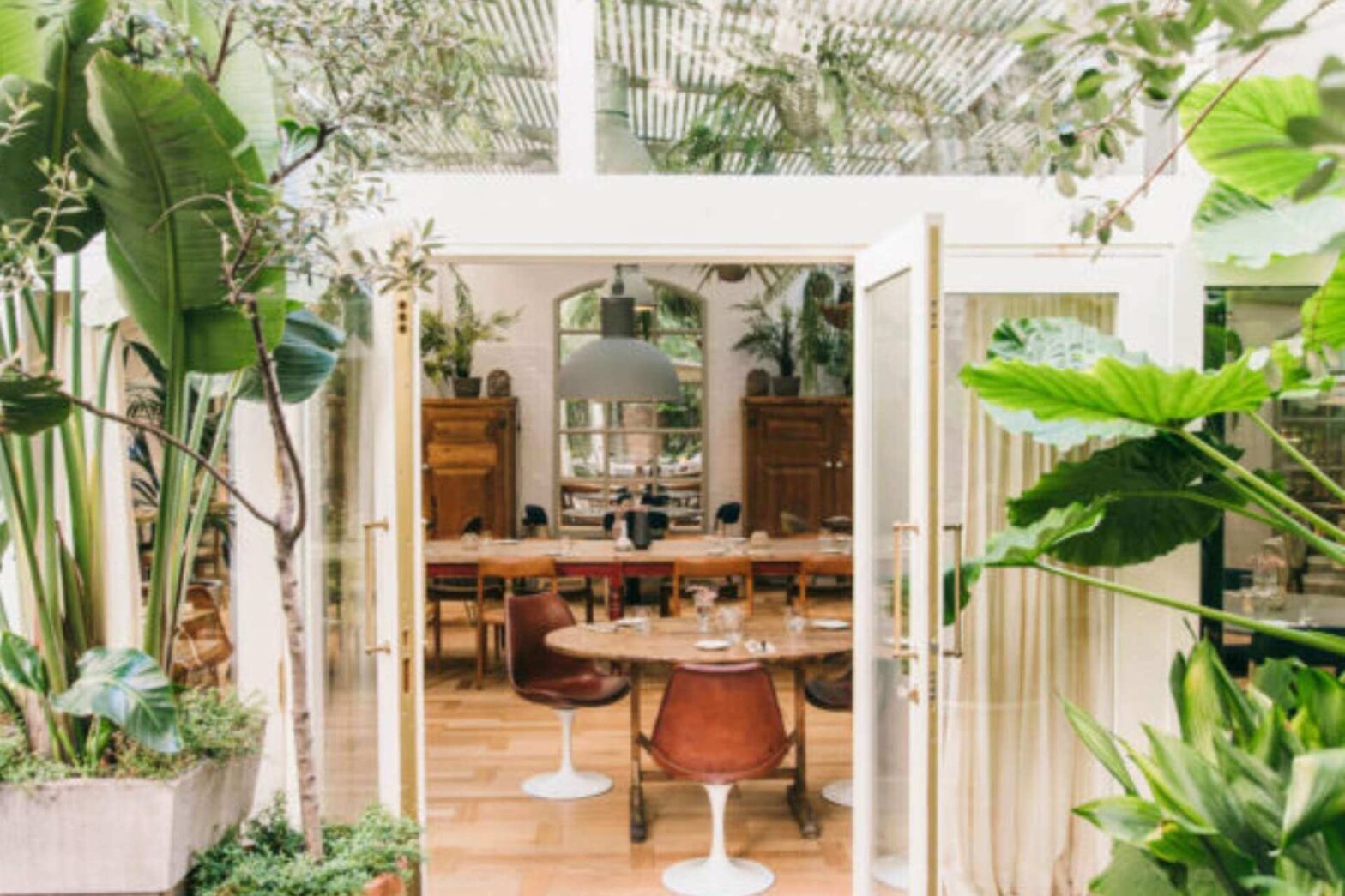 Restaurant The Greenhouse på Hotel Pulitzer i Barcelona, omgitt av grønne planter og dagslys.