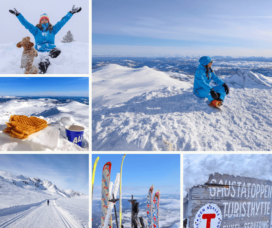 Ski, vaffel og kaffe, dame som ser utover fjelltoppene i Telemark sittende på Gaustatoppen og dame som leker med hund på Gausta. Det er vinter og snø.
