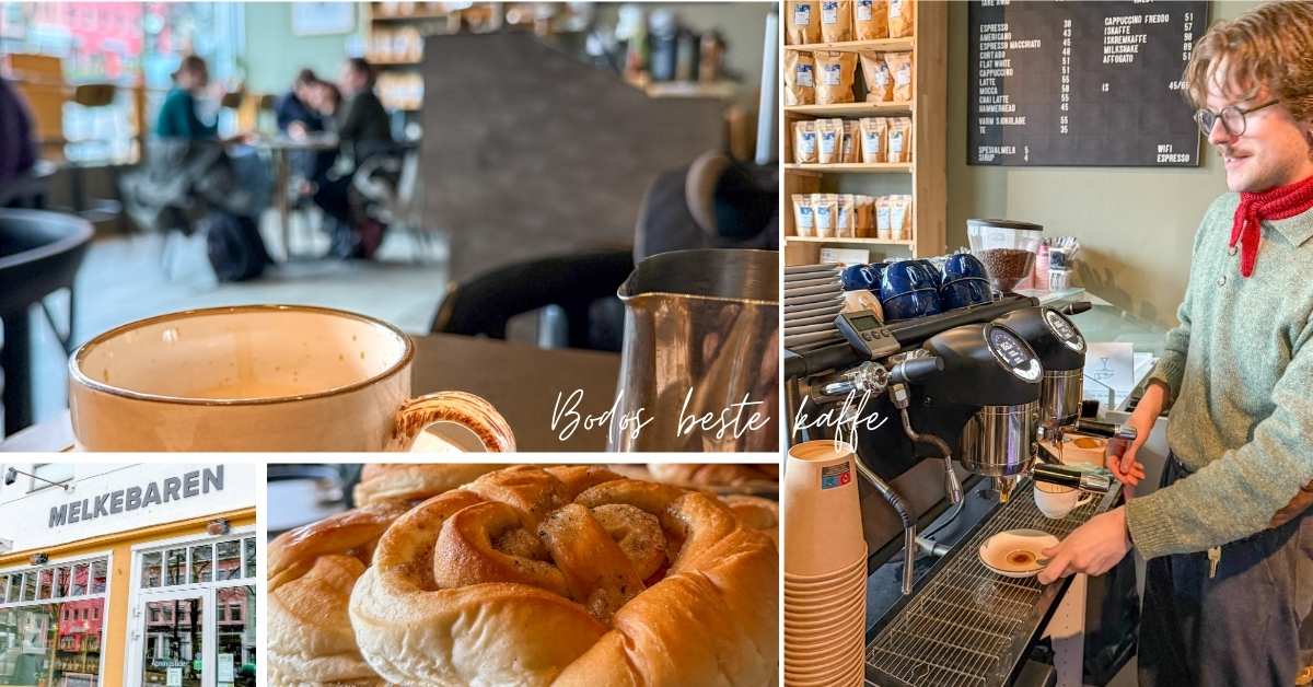 Melkebaren har den beste kaffen i Bodø. Hyggelig kafe med ferske bakevarer og lokal kaffe.