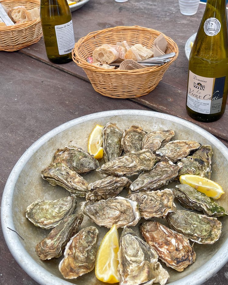Østers til lunch servert på metallfat med sitron, brød og hvitvin. 