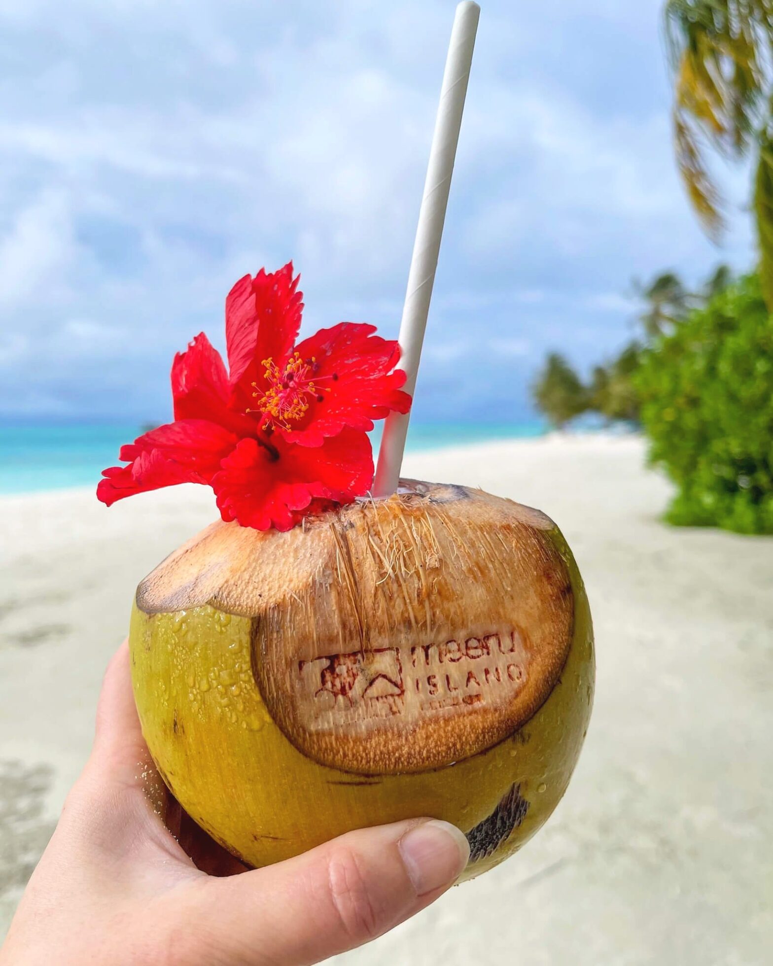 Kokosnøtt med hotellets logo. Sugerør og blomst til pynt var velkomstdrink. Strand og hav i bakgrunnen.