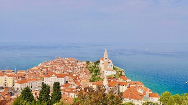 Oversiktsbilde over Piran Slovenia som viser byen med hus med røde tak og havet.