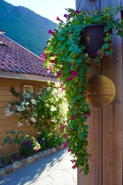 Gamle gulmalte bygninger og blomster som henger i potter på husveggen 292 Aurland hotell.