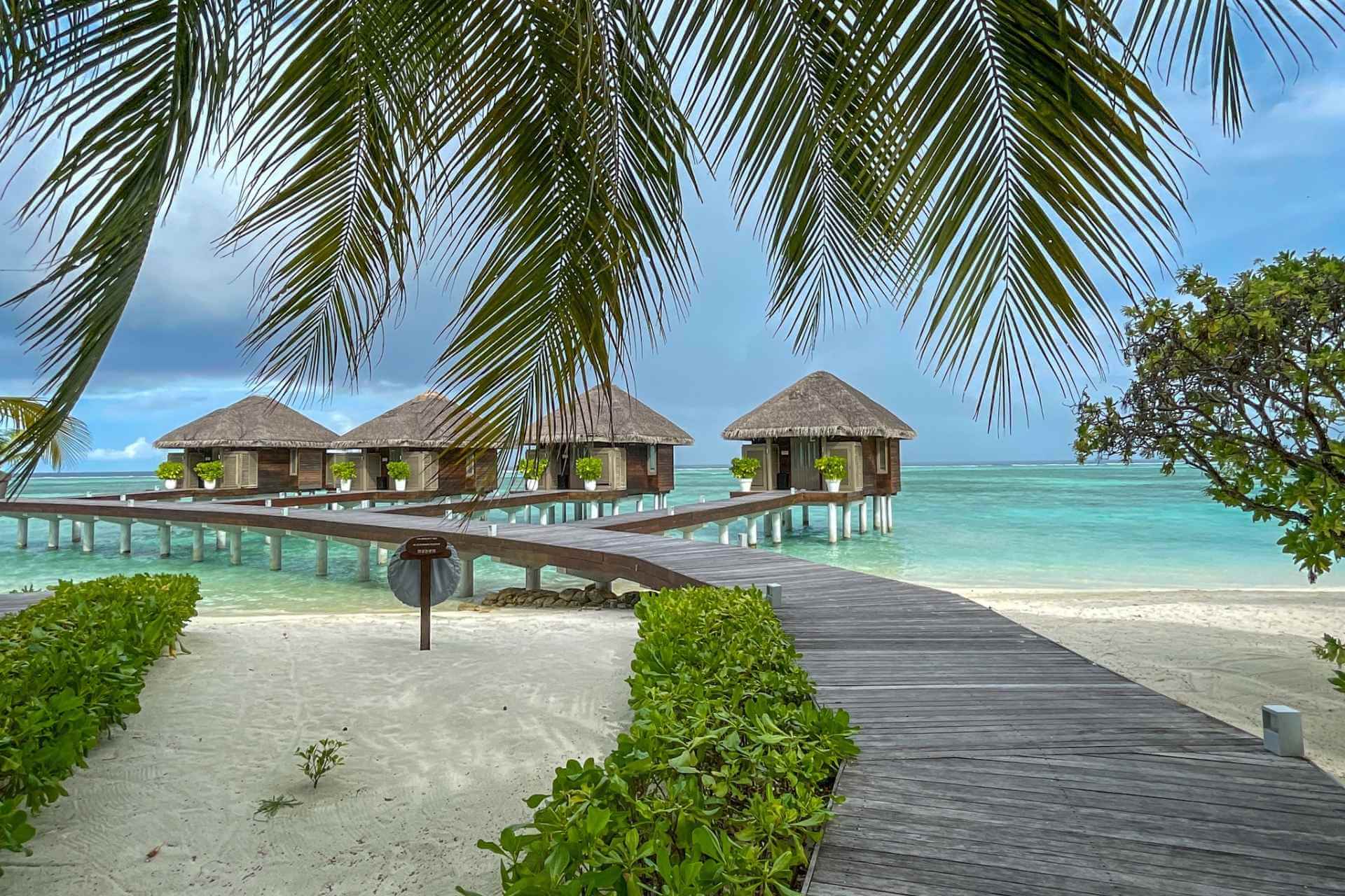 Overwater-villaer p&aring; LUX South Ari Atoll omgitt av palmer og lagune p&aring; Maldivene