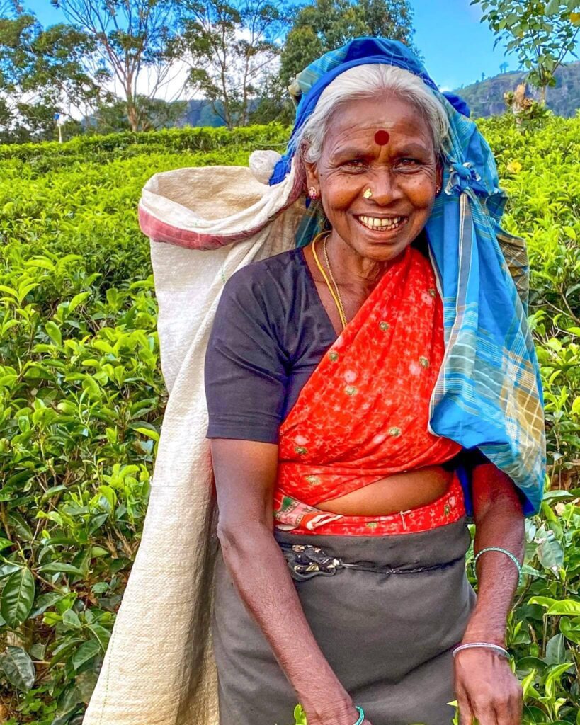 Oralen Vol 14 Nr. 2 Vår 2023 by Studentavisa Oralen - Issuu, image size:819x1024