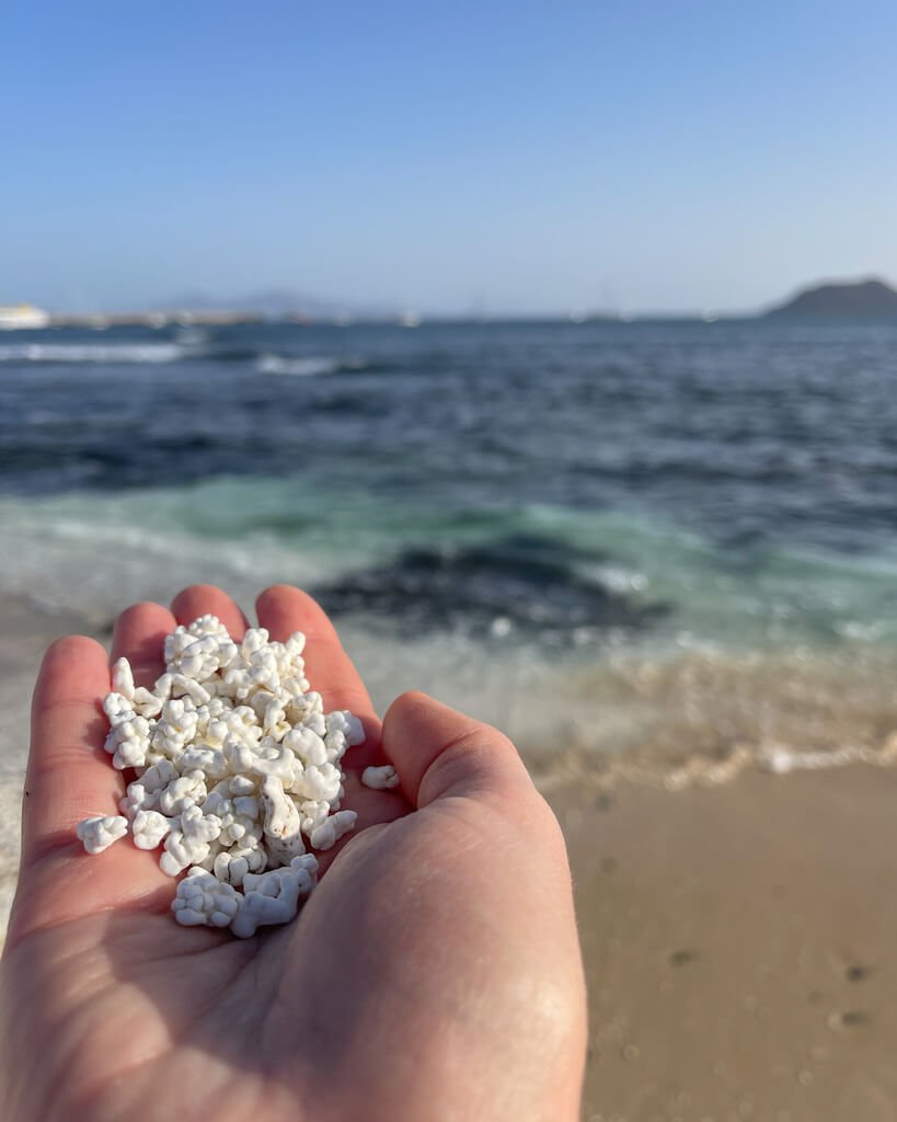 En håndfull av sand som ser ut som popcorn fra strand ved Corralejo på Fuerteventura. 