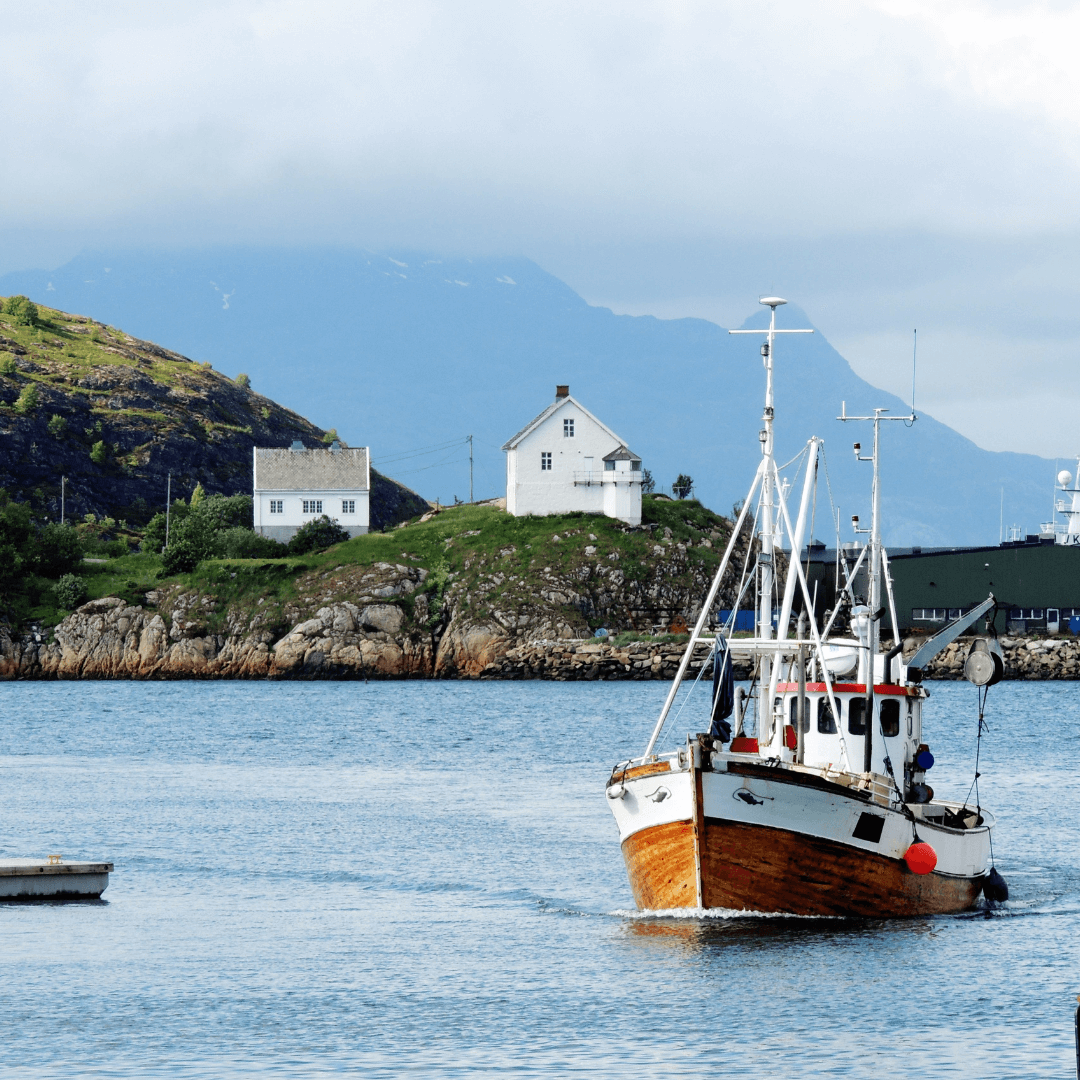 En liten, gammel fiskebåt i tre kommer inn mot bryggen i Bodø. Måkene følger båten og bak skimtes fjellene. Fyret ved Bodø havn og et idyllisk hvitmalt hus er i front på bildet. 