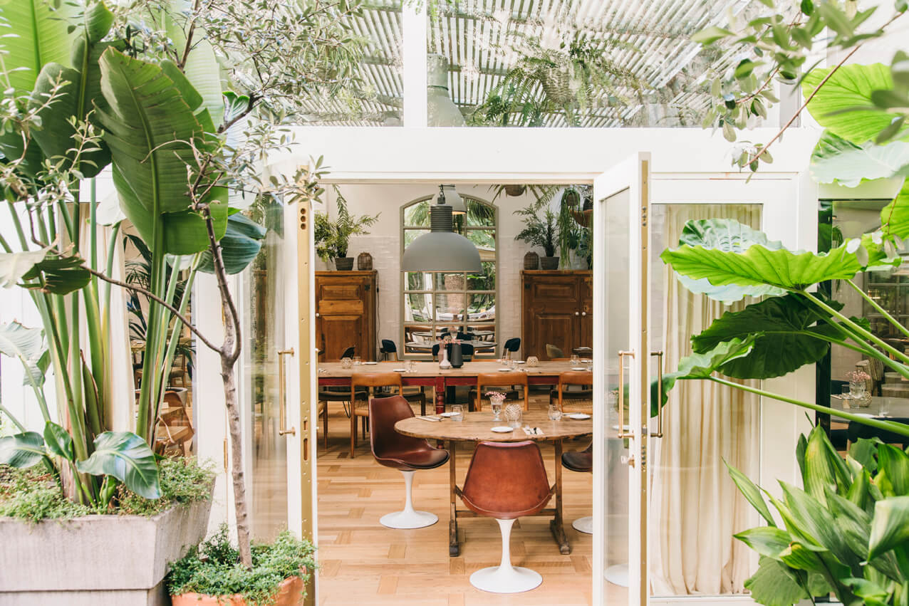 Hotel Pulitzer restaurant with green plants. 