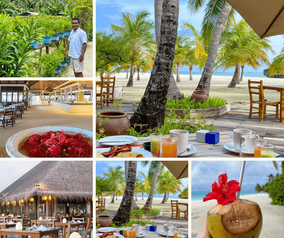 Meeru Maldives Resort Island urtehage og bilder fra restauranten til frokost og middag. 