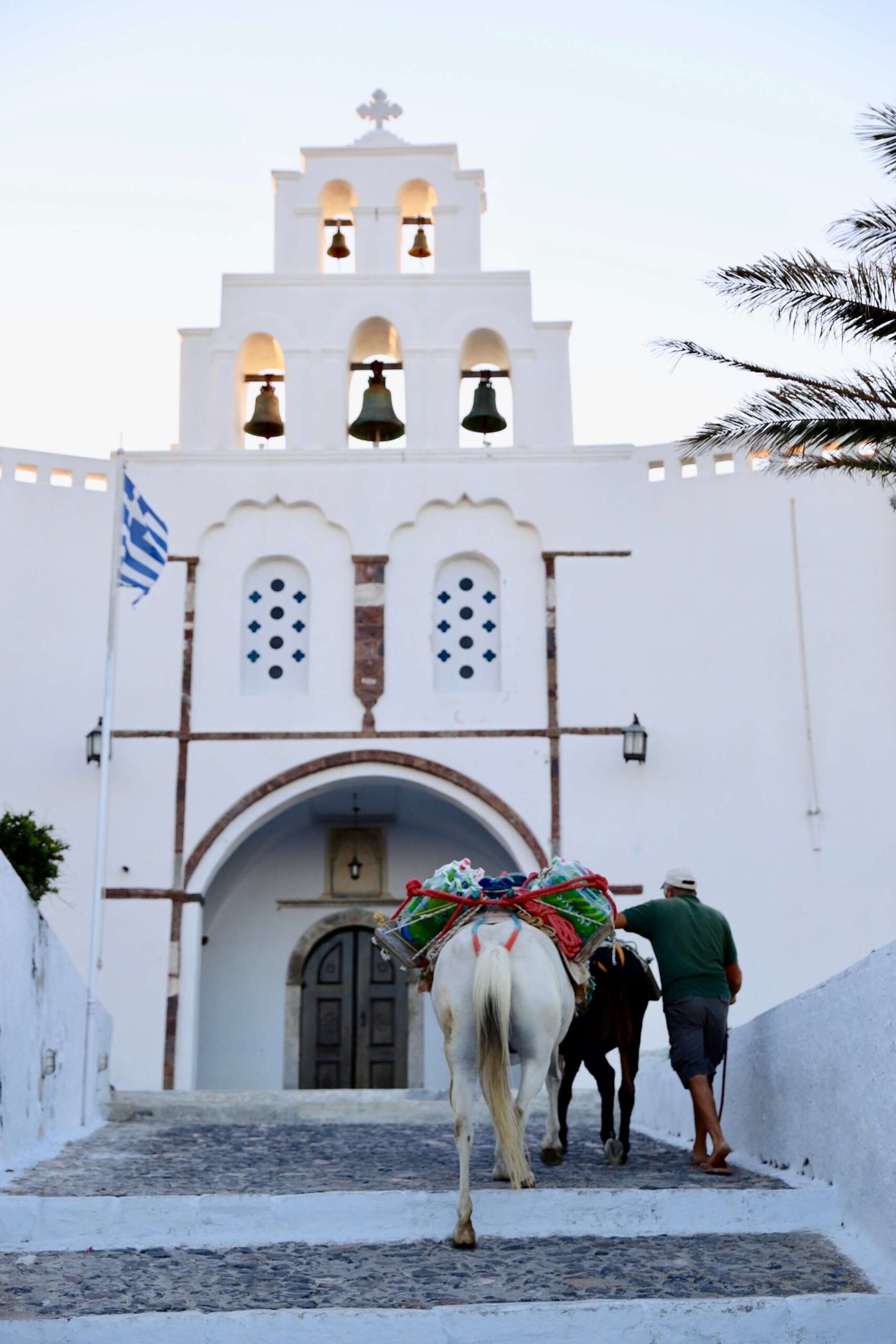 En mann med sine to esler går mot kirken i Pyrgos på Santorini ved soloppgang.