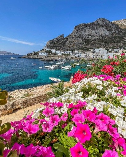 italia-sicilia-blomster-levanzo.jpg