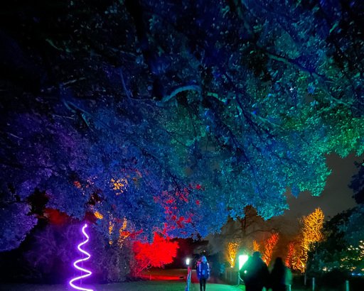jul-kew-gardens-london-lys.jpg