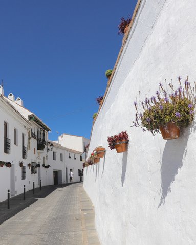 Gate i Mijas Pueblo i Spania. Hvite hus og husvegger med blomsterpotter med fargerike blomster. 