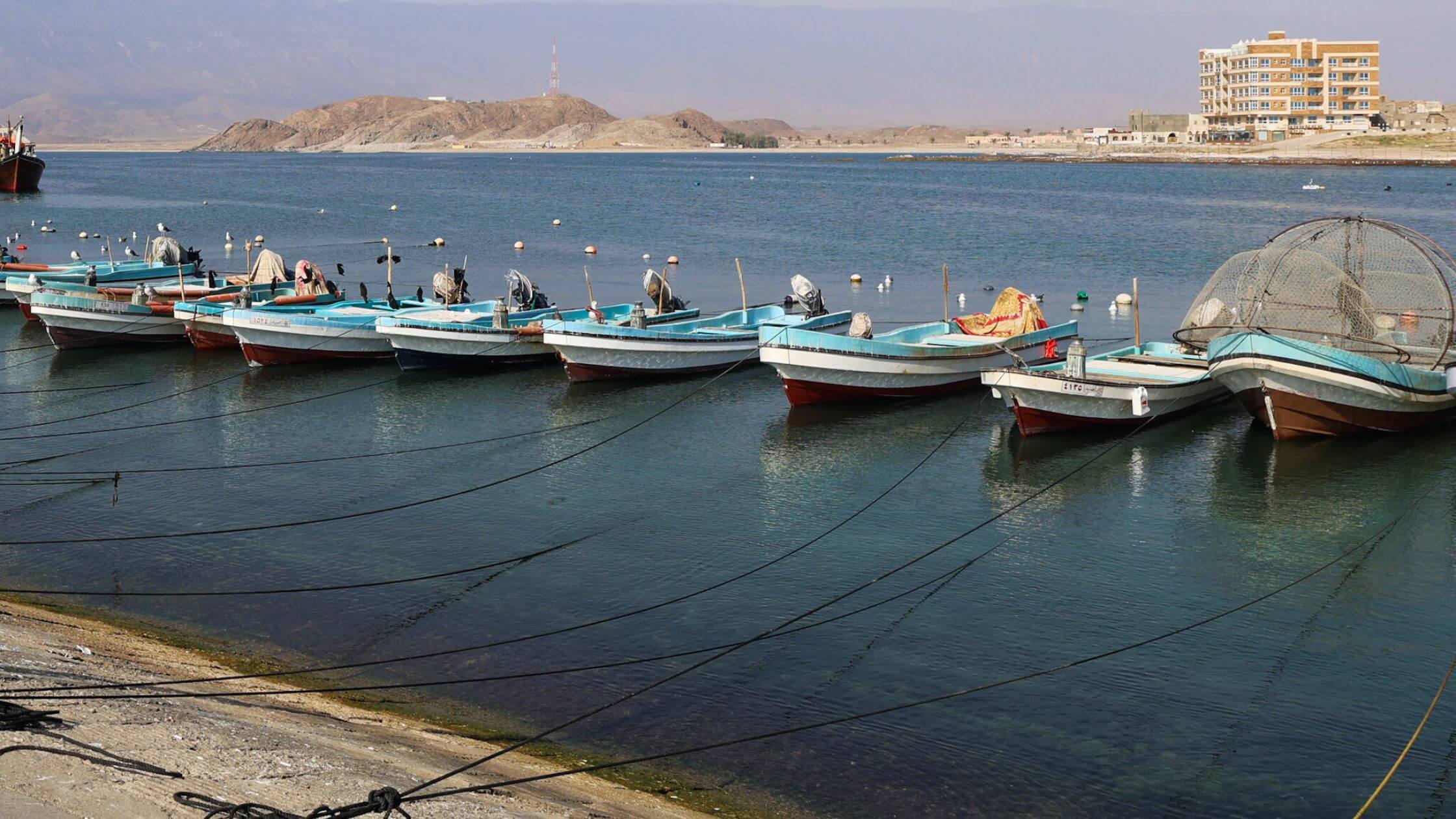Fiskebåter i byen Taqah i Oman.