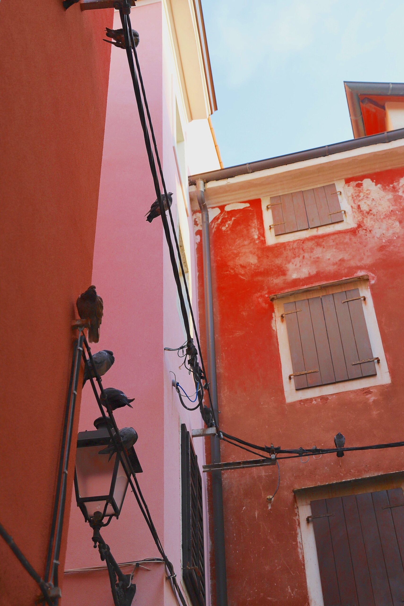 Rødt og rosa hus i bakgatene i gamlebyen Piran.