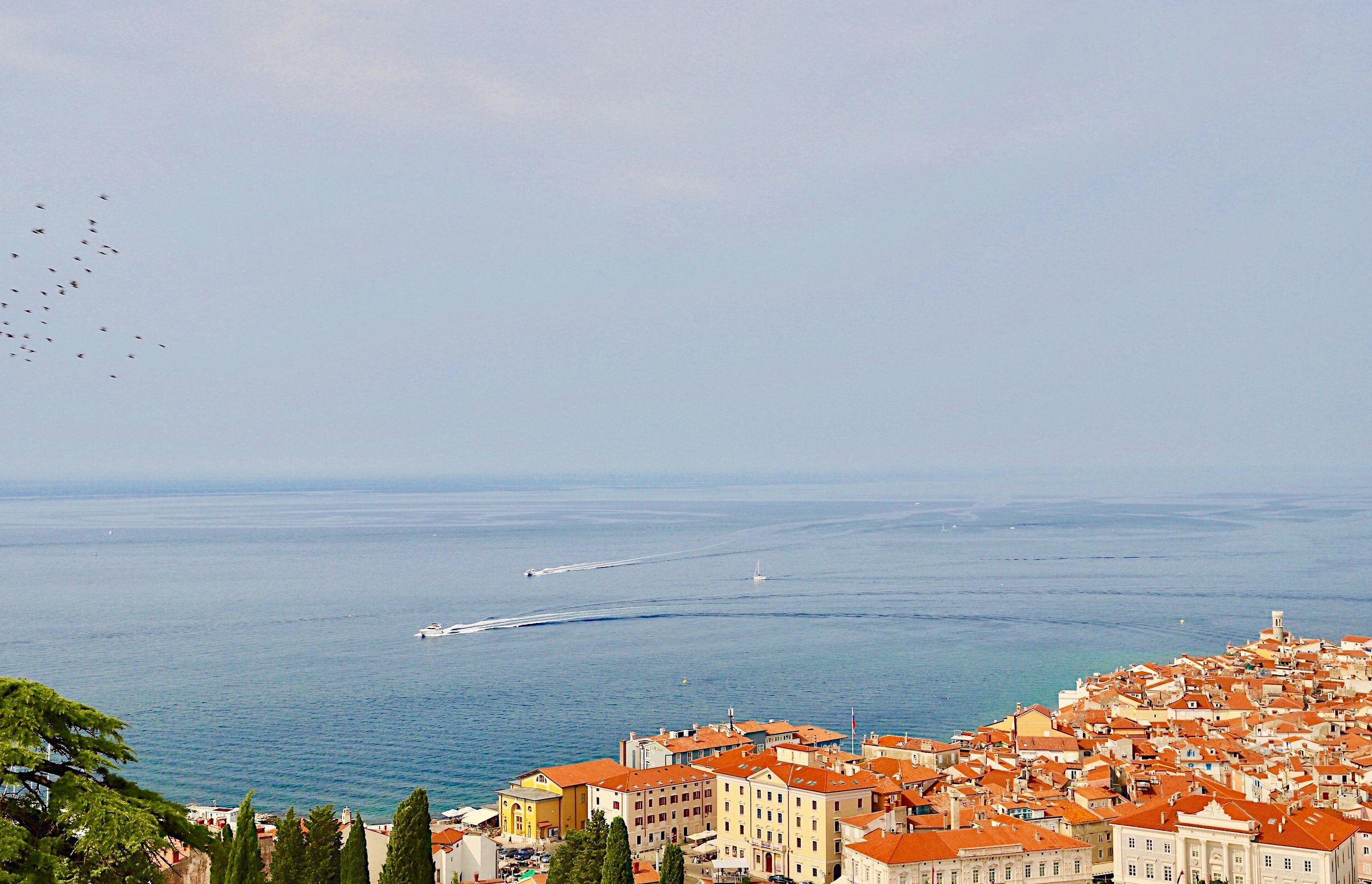 Utsikt over Piran og havet fra borgen øverst i byen.