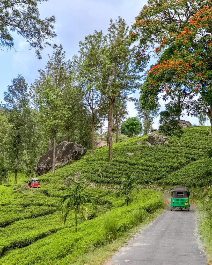 sri-lanka-ella-teplantasjer-tuk-tuk.jpg