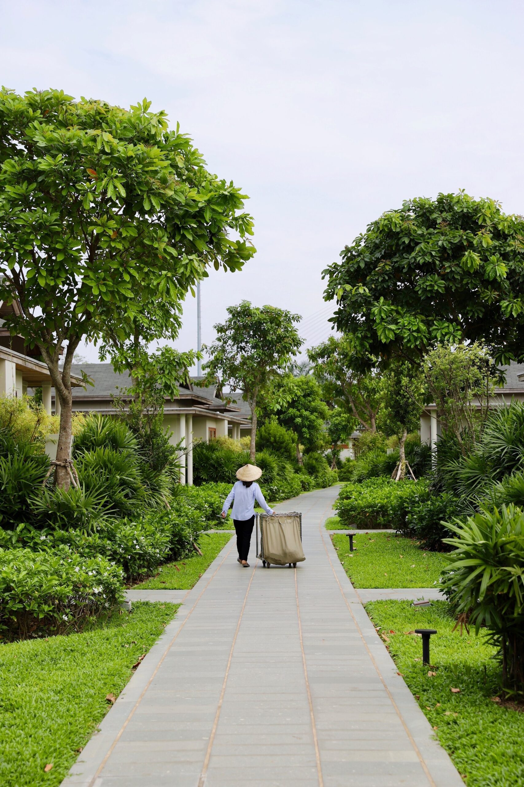 Bungalows surrounded by green grass, plants and trees. A woman from housekeeping is walking on the path with her Vietnamese hat on her head. 