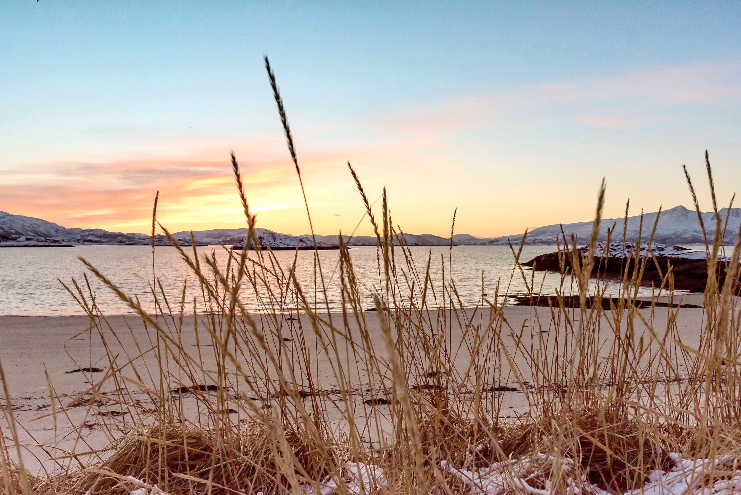 Strand i solnedgang med strå i front og havet på Sommarøy. 