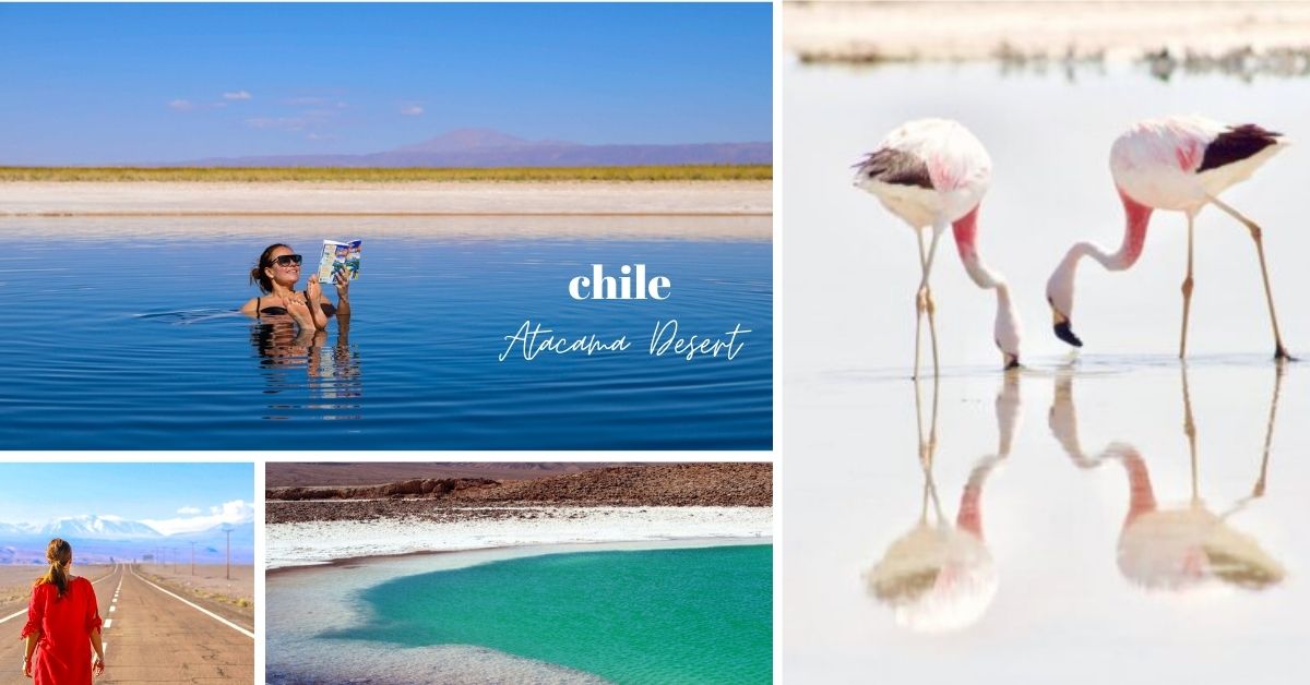 Chile Atacama dame som flyter i saltsjø og rosa flamingoer.