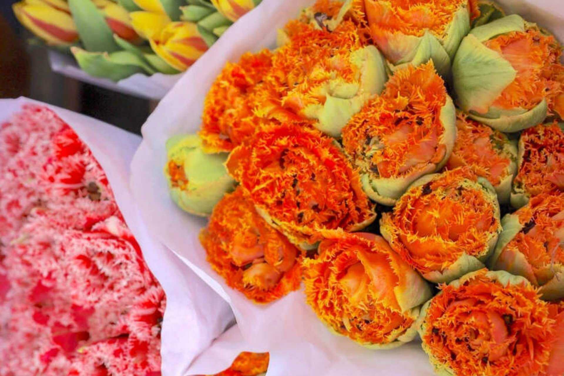 N&aelig;rbilde av oransje tulipaner i Keukenhof i Nederland