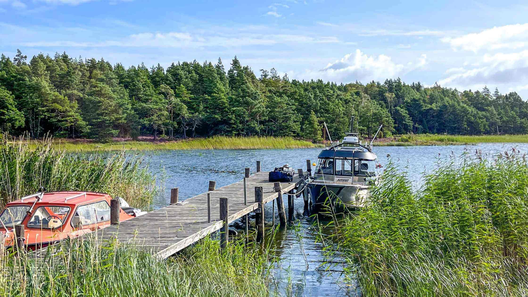 Båter gjemt i grønt siv på Vänern ved brygge på Lurö. Blått vann og blå himmel.