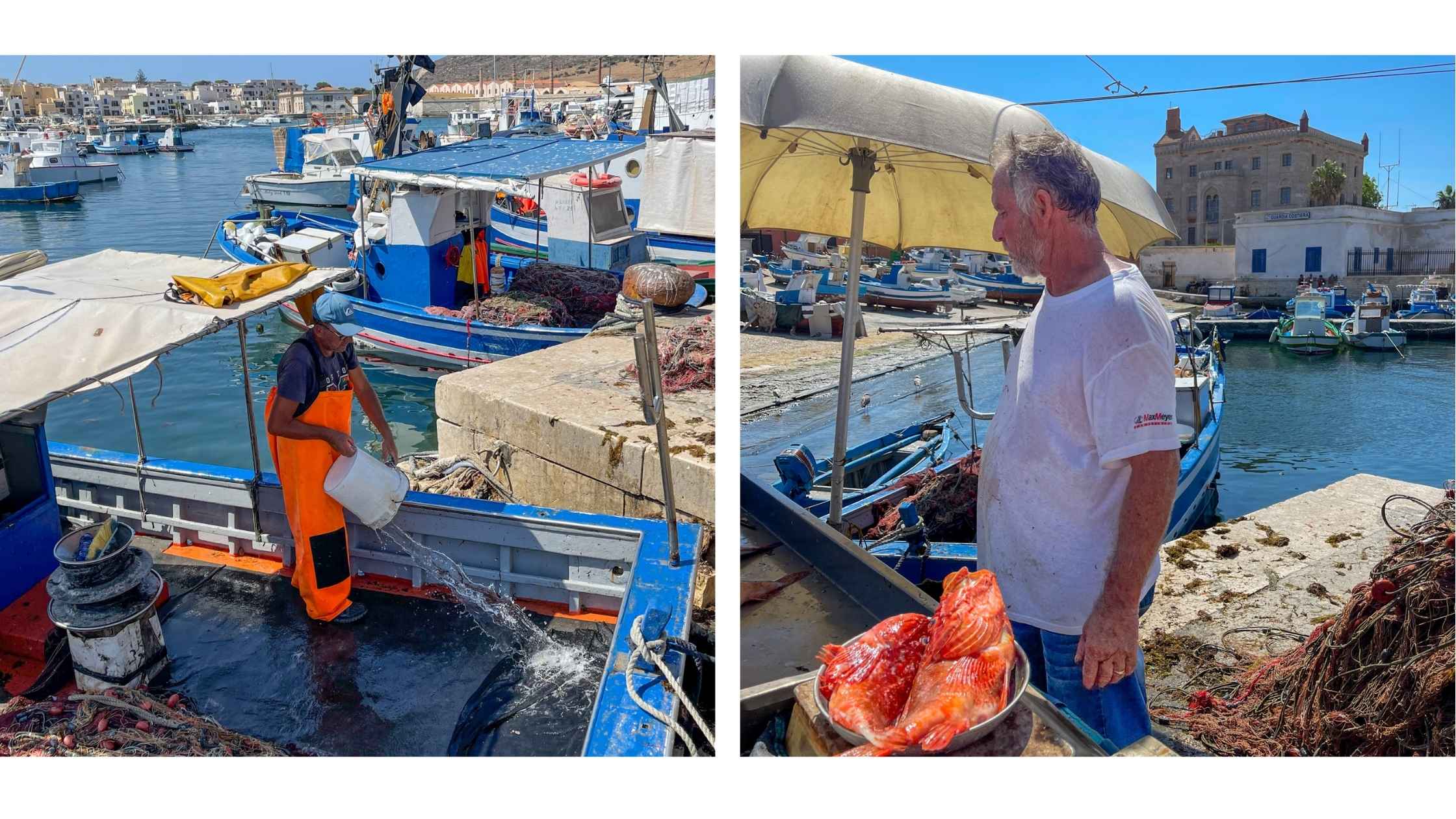 Favignana fiskere i havnen