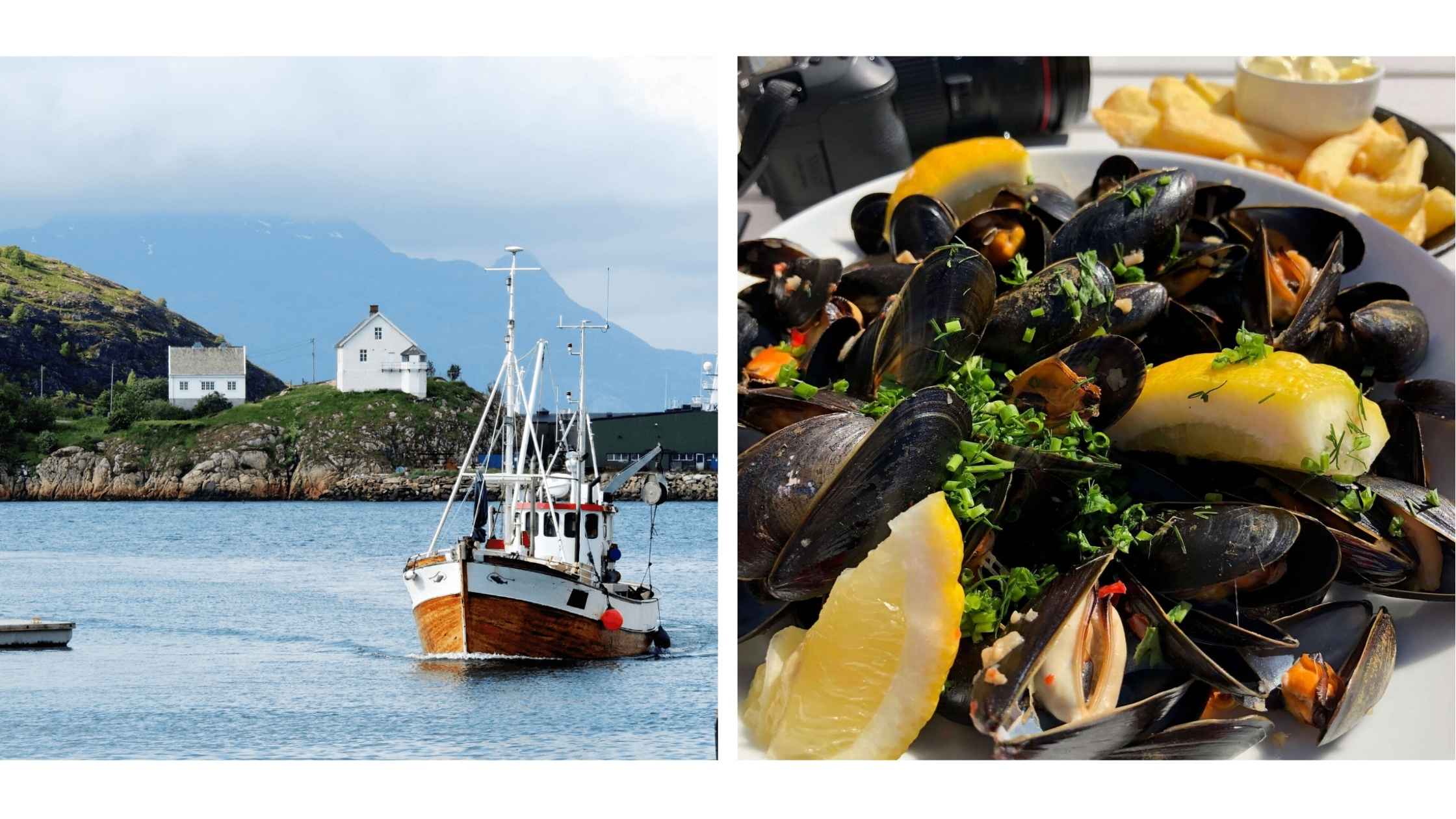 Gammel fiskebåt i Bodø havn og en tallerken full av dampede blåskjell med sitron og persille.