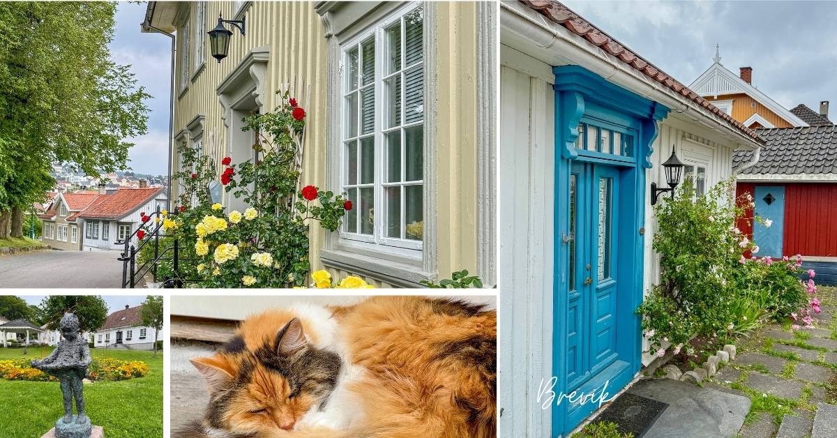 Gamle trehus og blomster i gamle Brevik.