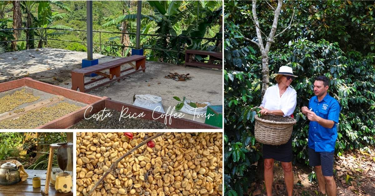 På besøk på kaffeplantasje i Costa Rica.