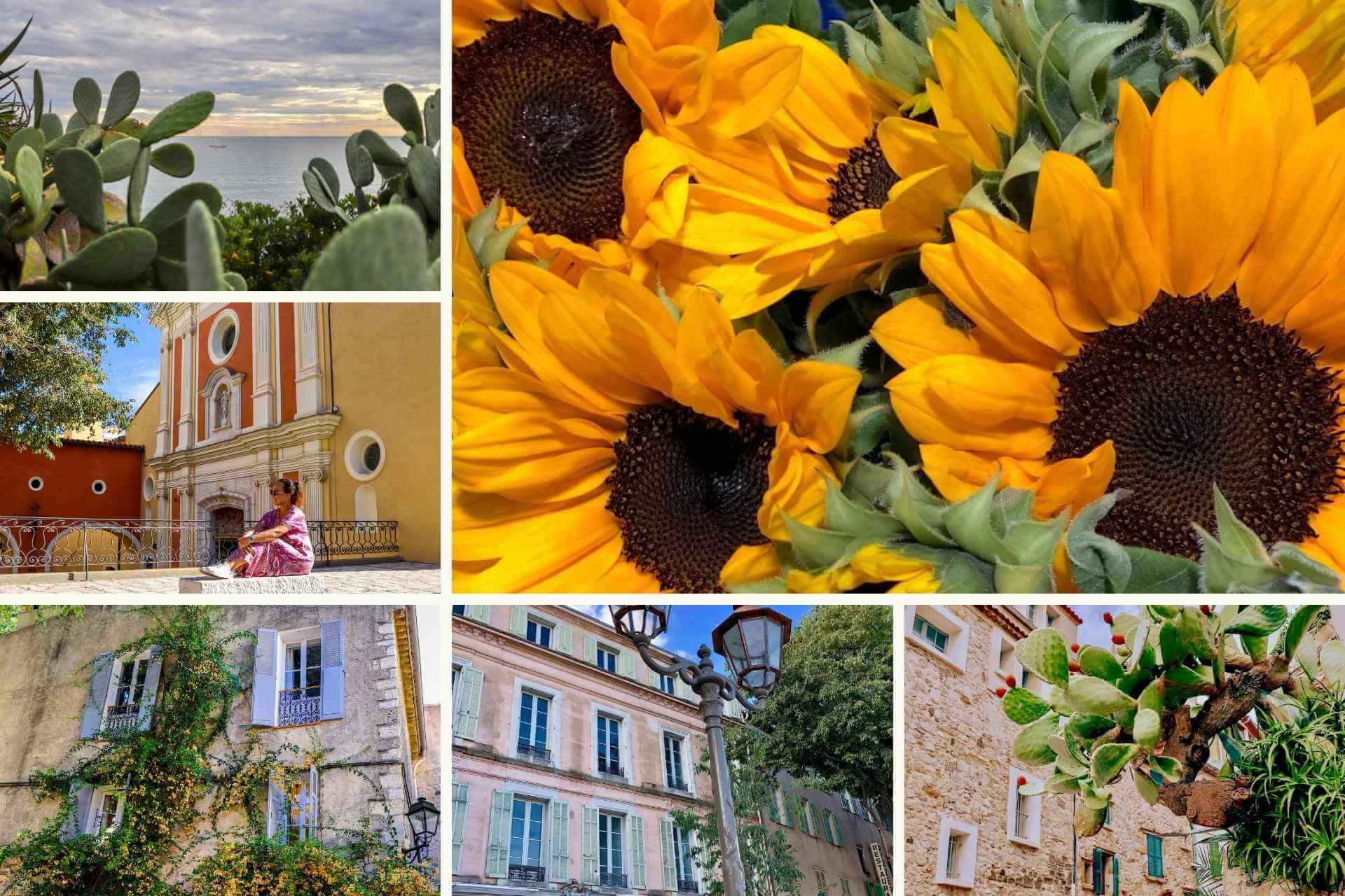 Stemningsbilder fra Antibes p&aring; Den franske riviera med gamlebyen, kaktuser, solsikker og middelhavsatmosf&aelig;re.