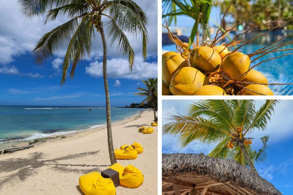 Collage med strand, palmer og kokosnøtter ved Le Méridien Mauritius.
