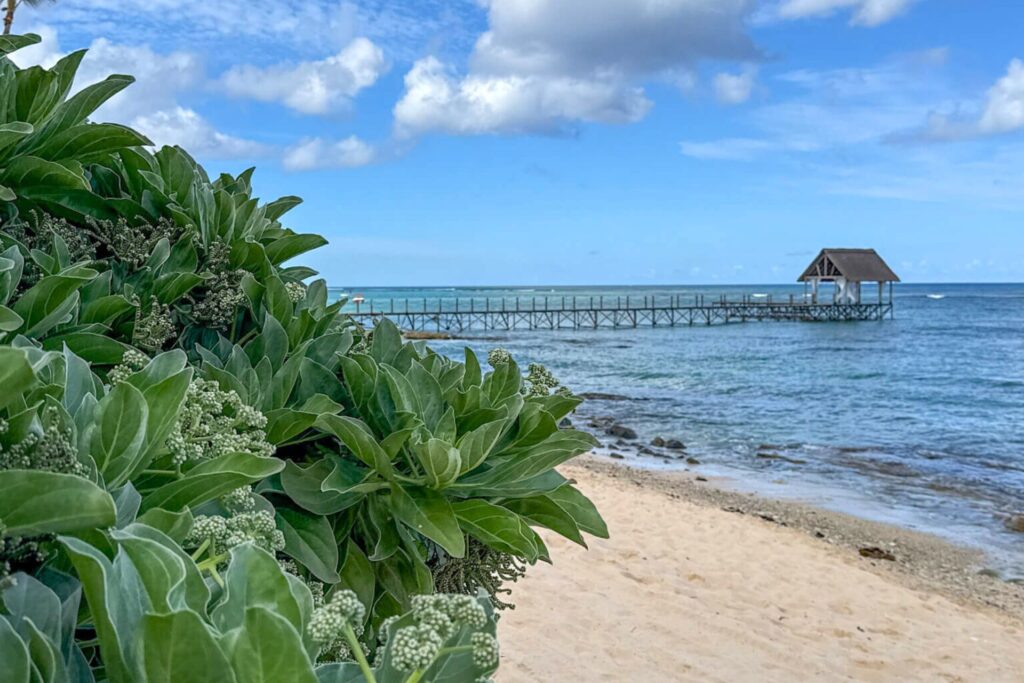 Strand, hav og pir på Mauritius. 