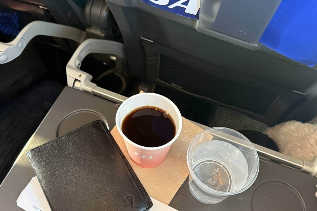 Passcover i skinn til reise som beskytter pass og samler viktige dokumenter p&aring; ett sted.