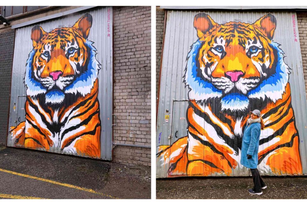 Fargerikt veggmaleri av en tiger malt p&aring; murvegg, et av omr&aring;dets mange ikoniske kunstverk.