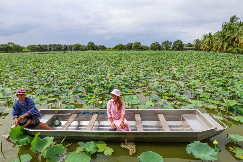 Lotusdammer i Nakhon Pathom utenfor Bangkok &ndash; et rolig landskap med landsbyliv og natur. To kvinner i rob&aring;t omgitt av lotusblomster. 
