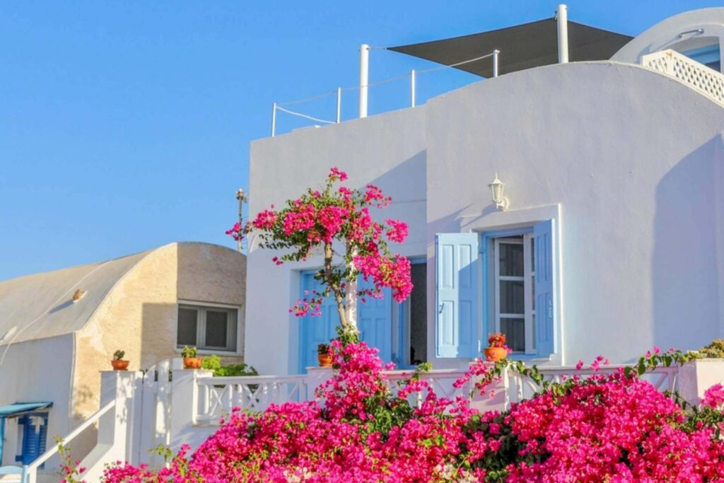 Hvite hus med bl&aring; vinduer og rosa bougainvillea p&aring; Santorini i Hellas.