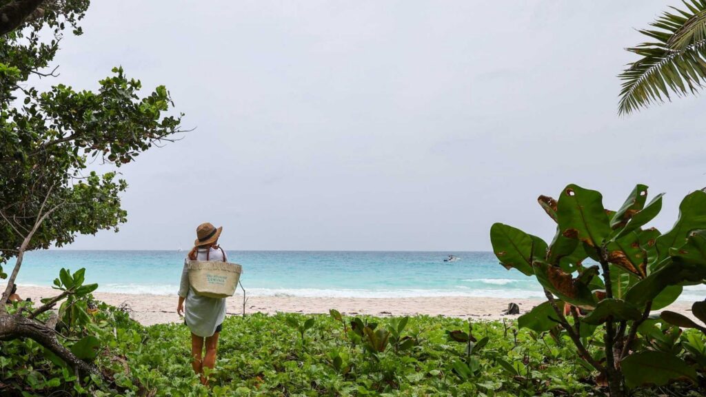 Strand omgitt av frodig vegetasjon på Seychellene. ,
