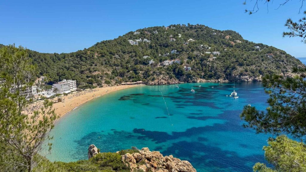 Utsikt over Cala de Sant Vicent på Ibiza med turkist hav, sandstrand og grønne åser rundt bukten.