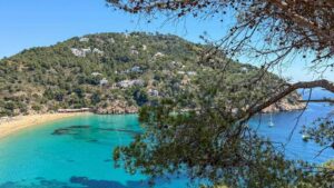 Panoramautsikt over Cala Sant Vicent nord på Ibiza med turkist hav, furuskog, sandstrand og hvite hus langs fjellsiden.