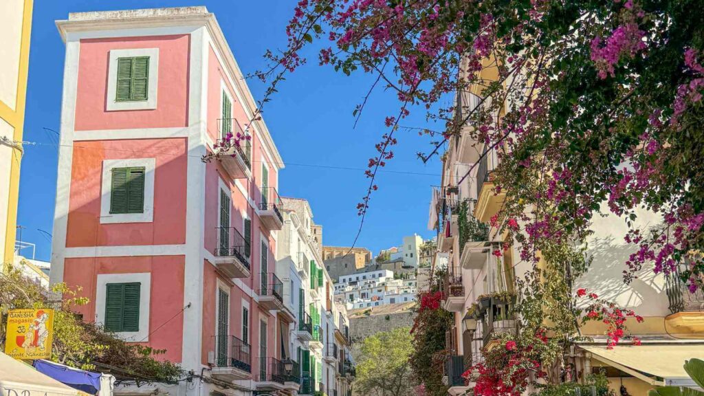 Fargerike bygninger og bougainvillea i en stemningsfull gate i Ibiza by nedenfor Dalt Vila.