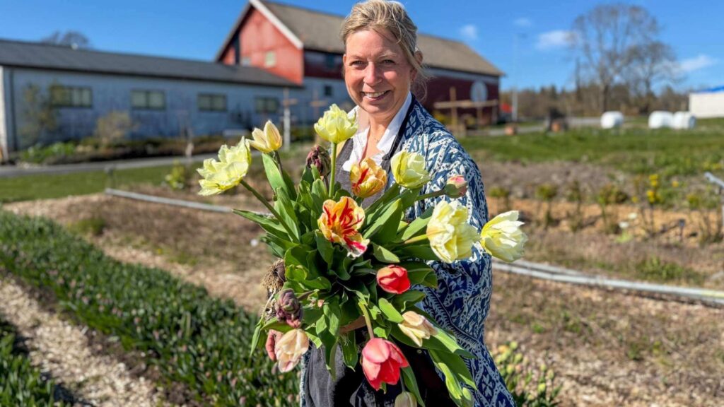 Camilla Anvik med tulipaner i Skjærgårdshagen ved Nevlunghavn