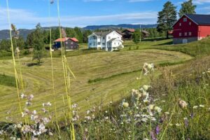Tunet med hovedhus på Bolkesjo Gaard ved Notodden i Telemark en sommerdag.