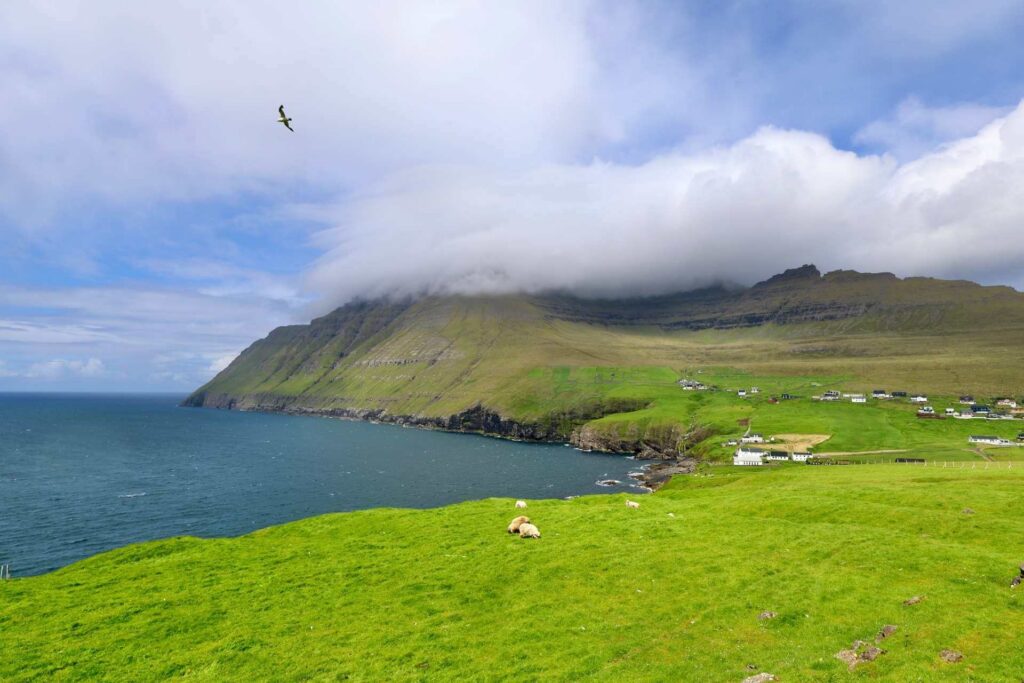 Utsikt over kystlandskapet ved Viðareiði på Færøyene med sauer, dramatiske skyer og Atlanterhavet.