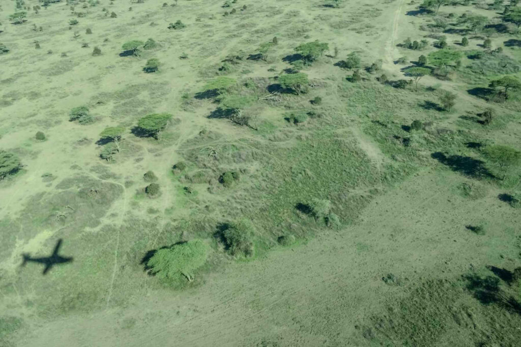Fly som kaster skygge over landskapet i Tanzania